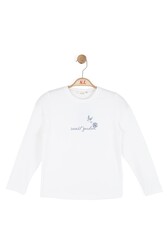 31336-SCRET BADİ 8/14 - Thumbnail