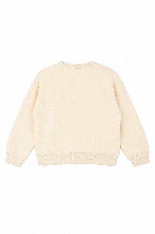 32610-GÜPÜRLÜ SWEAT 1/4 - 6