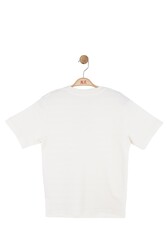 41309-ROSS T-SHIRT 8/14 - Thumbnail