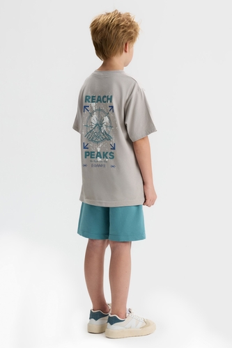 41343-PEACK T-SHIRT 8/14