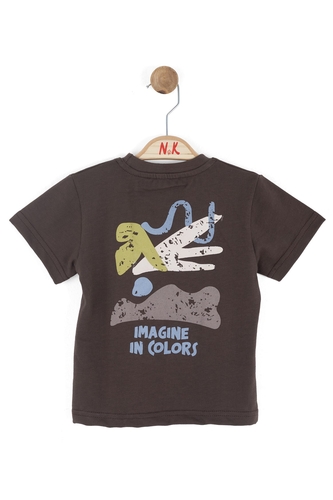 41619-COLOR T-SHIRT 1/4