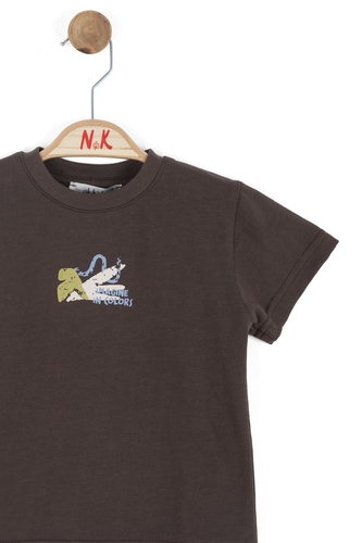 41619-COLOR T-SHIRT 1/4