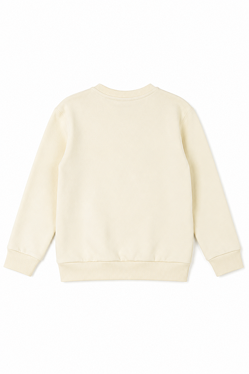 42601-GREAT SWEAT 1/4 - 3